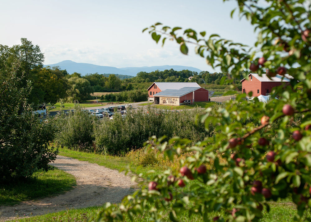 Vol.87 Streets of VASIC