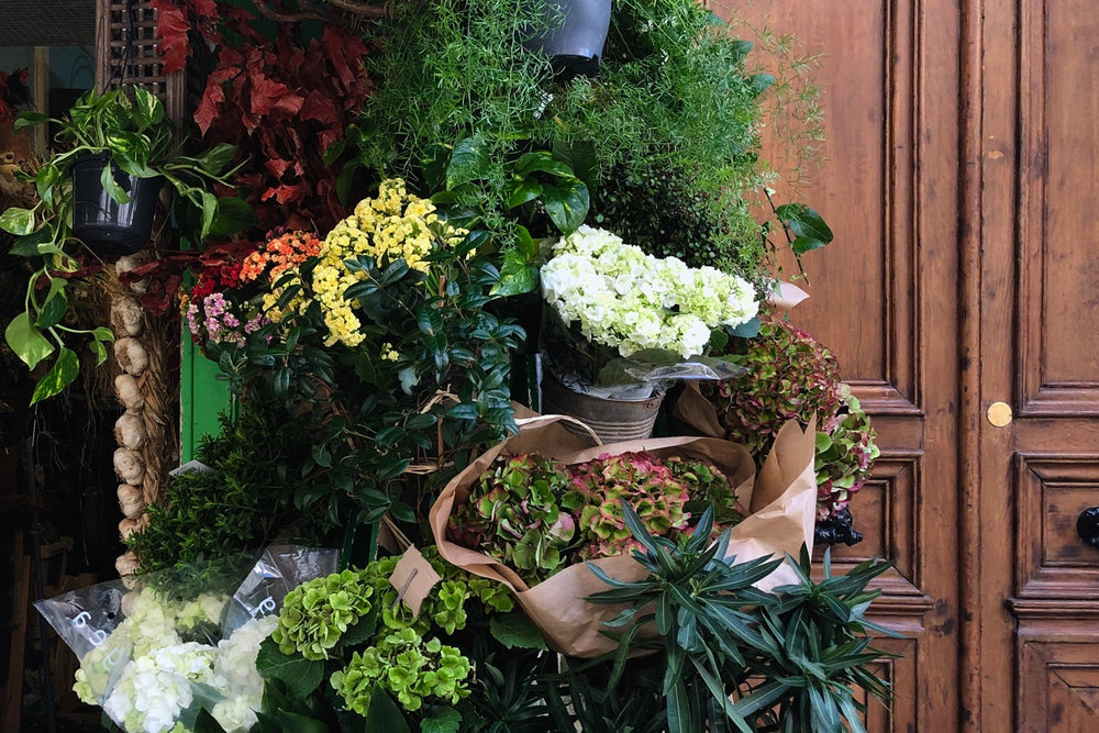 Vol. 2 ぬくもりを添える秋の景色