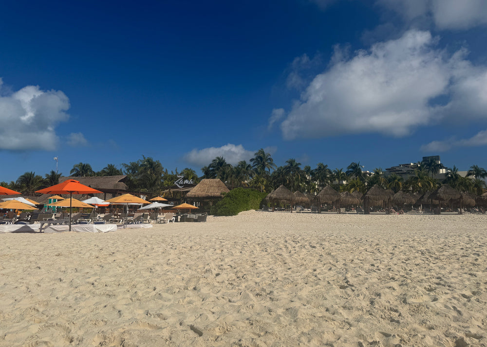 Vol.83 Streets of VASIC