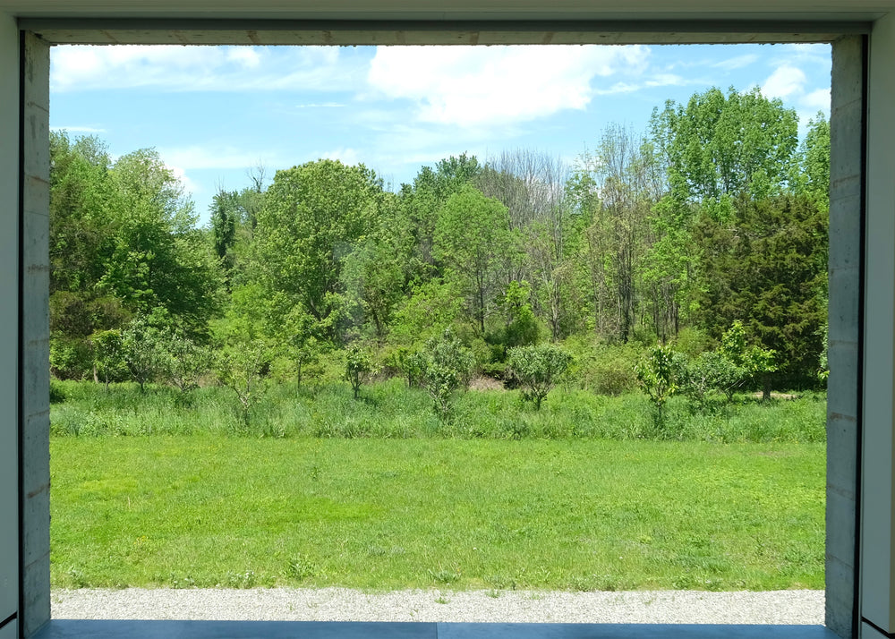 Vol.52 Stories of VASIC