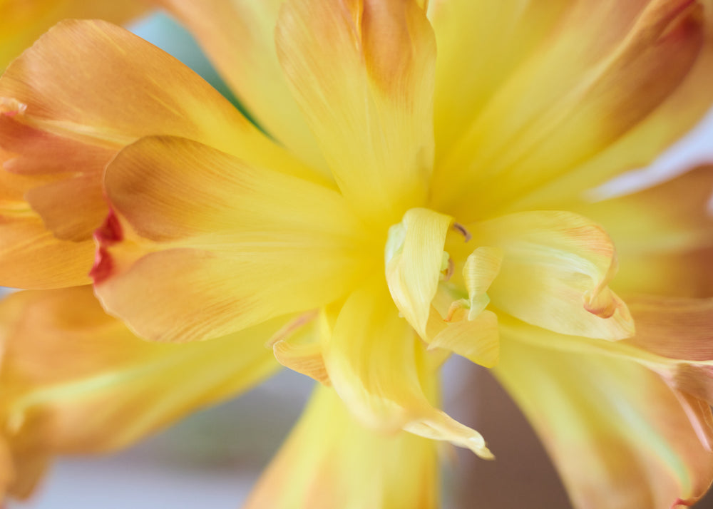 Vol.61 Stories of VASIC