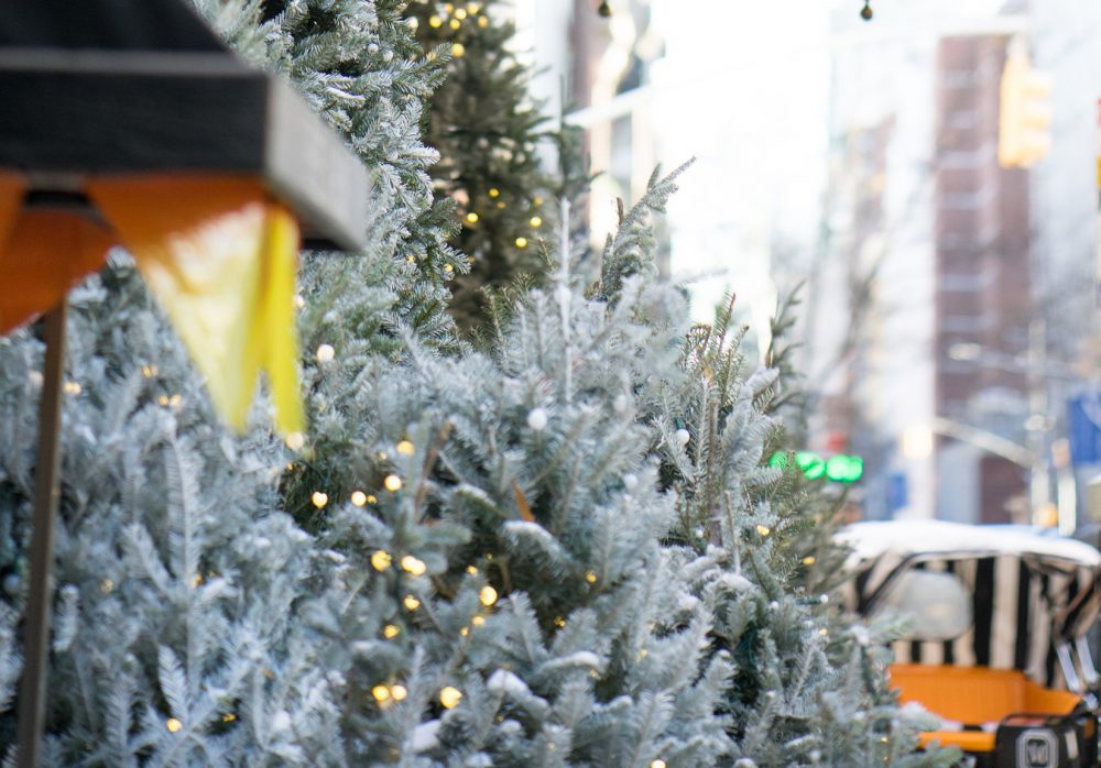 Vol.16 Streets of VASIC