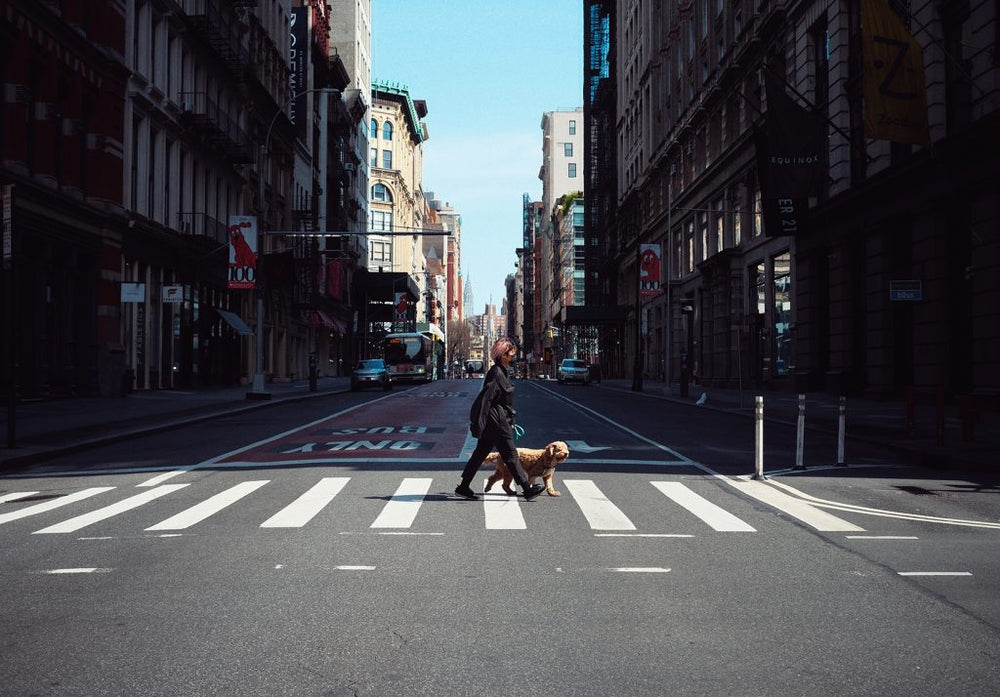 Vol.20 Streets of New York