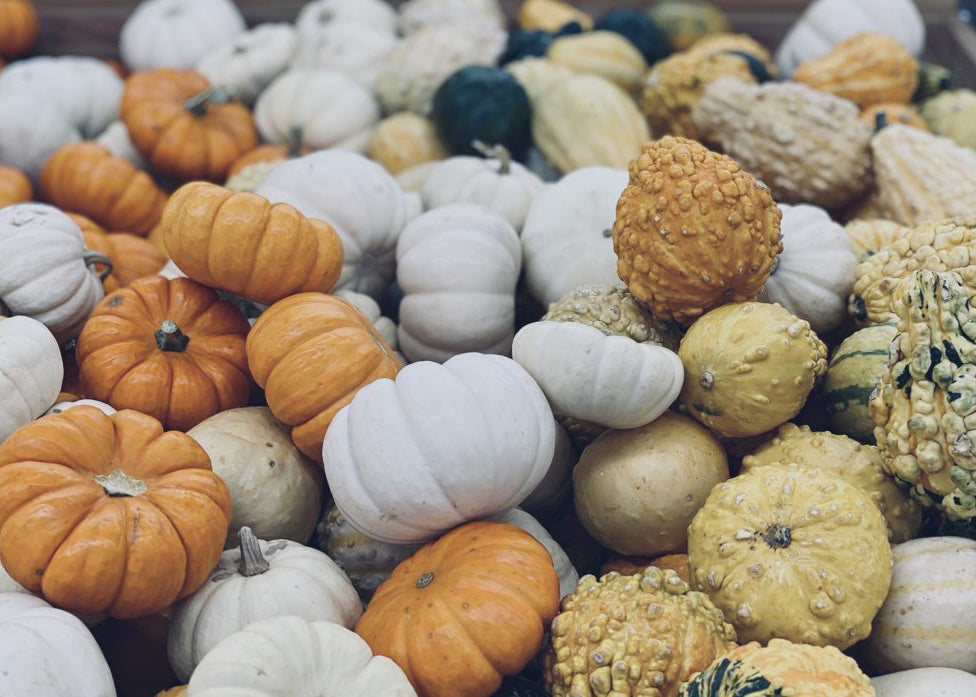 Vol.30 Streets of VASIC